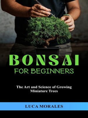 cover image of Bonsai  for  Beginners